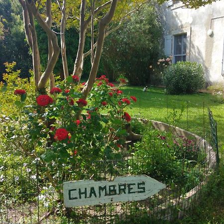 Le Mas D'Icard Saintes-Maries-de-la-Mer Bagian luar foto