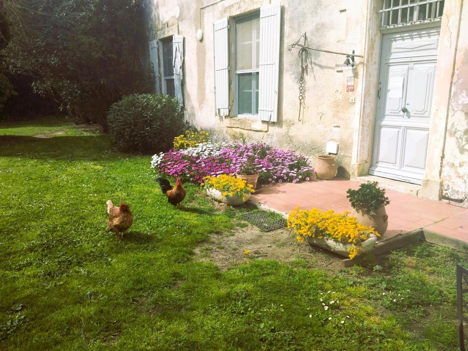 Le Mas D'Icard Saintes-Maries-de-la-Mer Bagian luar foto