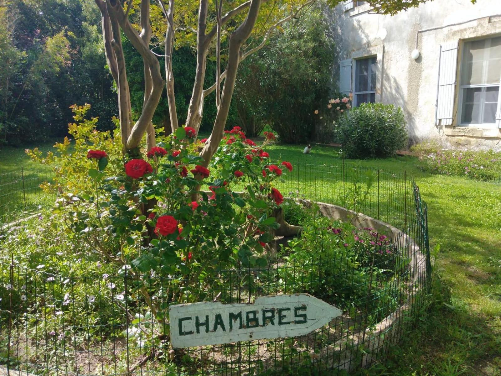 Le Mas D'Icard Saintes-Maries-de-la-Mer Bagian luar foto